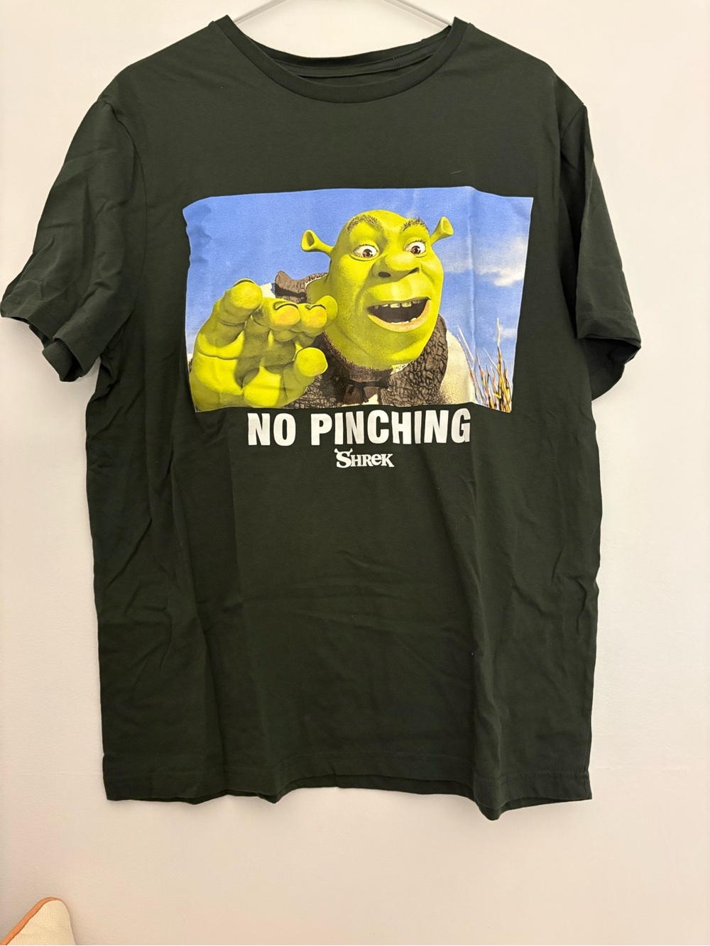 Shrek "No Pinching" Graphic Tee - Dark Green Size L Cotton Blend